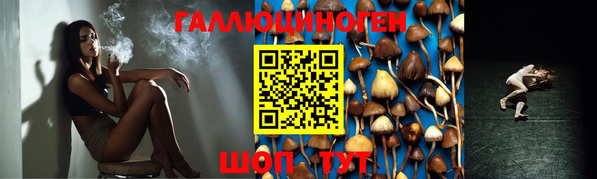 Псилоцибиновые грибы ЛСД  Вход с VPN  Соликамск 